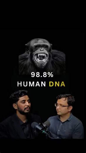 Chimps are smarter than humans? #podcast