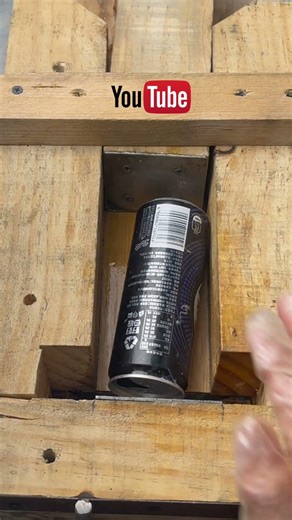 Surprises Await: Finding Fun in Every Spin!