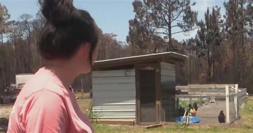 Georgia mother of six loses home in devastating wildfires