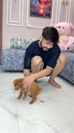 मेरे घर आया नया मेहमान! ❤️🐶 #funny #youtubeshorts #golu008 #comedy #short #shorts #cash