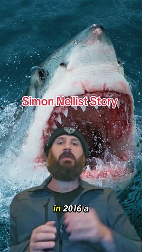 On February 16, 2022, the 60-year safety streak of Sydney’s beaches was broken. Simon Nellist, a 35-year-old experienced diver, was fatally attacked by a Great White Shark at Little Bay. Despite being a veteran and a professional scuba instructor, the speed of the ambush left no room for escape. This tragedy led to massive changes in how Sydney monitors its coastline. #simonnelliist #shatkattack #greatwhiteshark #truestory #pov