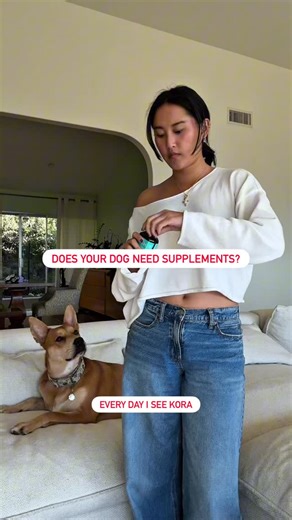 PetSmart on Instagram: "Healthy pups are happy pups! Call your vet to choose the right supplements for your dog! 🐾✨ #anythingforpets #petsmart #dogsupplements #dogprobiotic #healthydog"