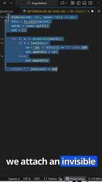 How Hackers Hide Messages in Plain Text (Python Steganography Demo) #coding #pyhton