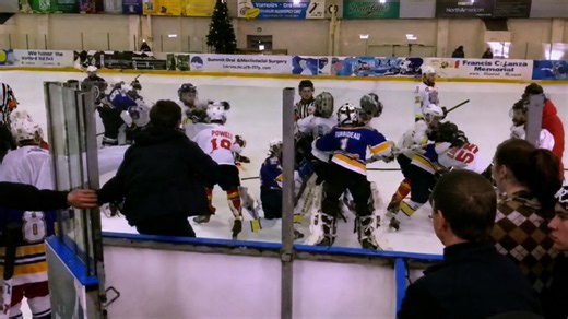 When hockey gets too intense
