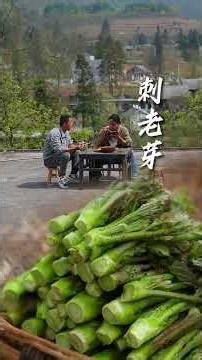 Harvesting Wild Tree Buds and Cooking a Delicious Traditional Chinese Dish