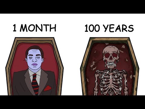 Every Stage of Death Explained