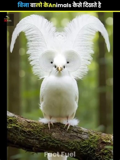 These animals that went extinct thousands of years ago 🤯 #shorts