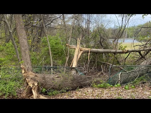 2026 04 17 23 36 06 newbold wvn