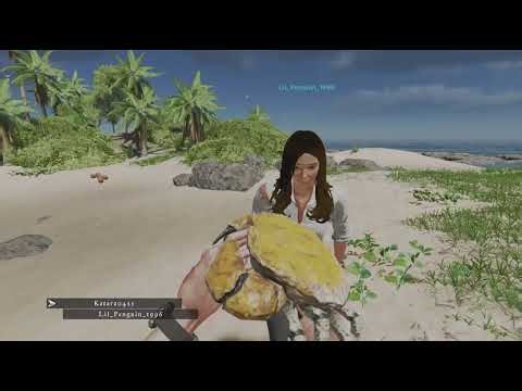Stranded deep : Stranded without hope ep 1