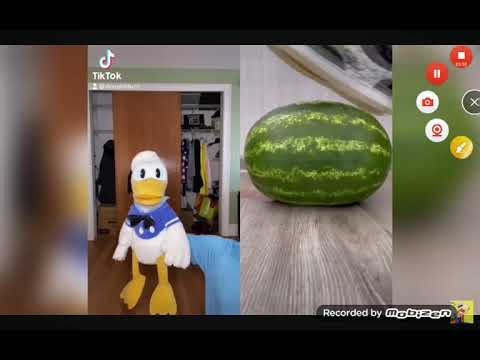 DonaldDucc Screaming Compilation
