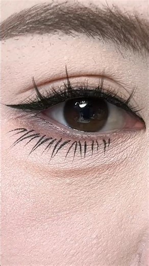 Ultra-Fine Eyeliner Eye Makeup Tutorial | Perfect Lower Lash Techniques for Beginners (High-CPM)