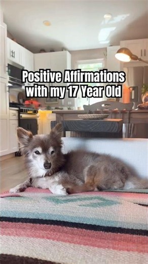 When your dog understands every compliment #dogs #wholesome #emotional