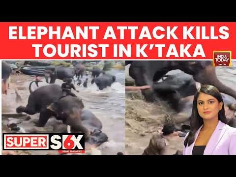 33-Year-Old Tourist Crushed To Death As Elephants Fight At Kodagu Camp In Karnataka