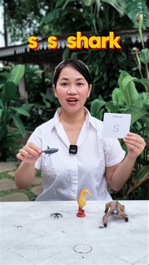 Miss Eva on Instagram: "Today's letter is S. The letter S makes the sound /s/ — like “sss, sss, s!” It’s the sound you hear in shark, spider, seahorse, and sloth. Your teeth are close together, and the air goes out softly like a snake saying “sss!” #phonics #tipsparenting #alphabet"