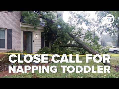 Tree limb crashes onto Potomac home near sleeping toddler