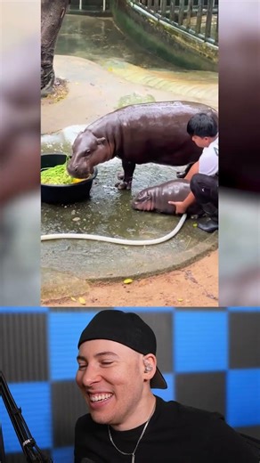 Cutest Animals (PART 1)