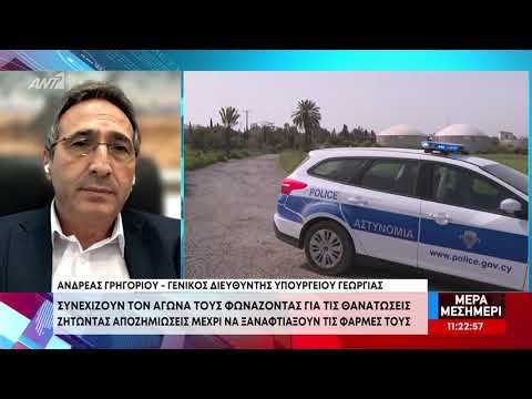 Κτηνοτρόφοι: Ζητούν αποζημιώσεις μέχρι να ξαναφτιάξουν τις φάρμες τους - Τι αναφέρει το Υπουργείο