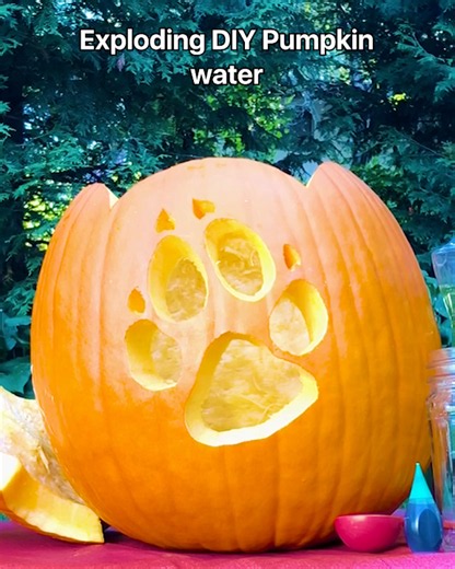 It’s that time of year again… and things are about to get a little oozy! 🎃🧪 For National Pumpkin Day, we’re giving pumpkin carving a STEM twist! Ready to make a seriously foamy Jack-O’-Lantern? Here’s what you’ll need 👉 1️⃣ 1 cup hydrogen peroxide 2️⃣ 2 packets dry yeast 3️⃣ 6 tbsp warm water 4️⃣ Food coloring 5️⃣ 500 mL cylinder or flask 6️⃣ 2 tbsp dish soap 7️⃣ A pumpkin with a simple carved design 8️⃣ Safety goggles Let’s get bubbling! 🫧 ⚠️ Caution! Do not touch the foam. It will be extre
