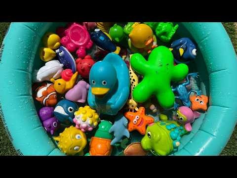 EXPLORE OCEAN ANIMAL NAMES AND FACTS| SEA ANIMAL TOYS FOR PRESCHOOLERS