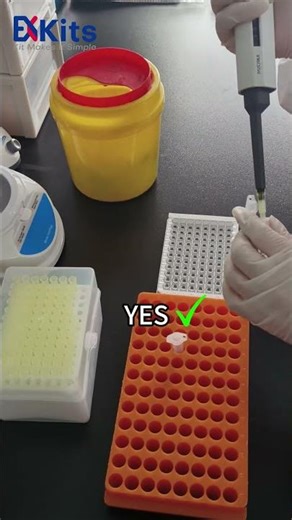 Lab Operation: Yes & No
