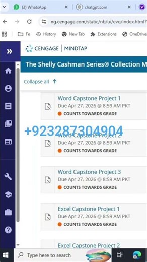 Word Capstone Project 1