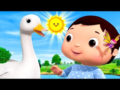 Sunny Days ☀️☀️ Earth Day | Little Baby Bum