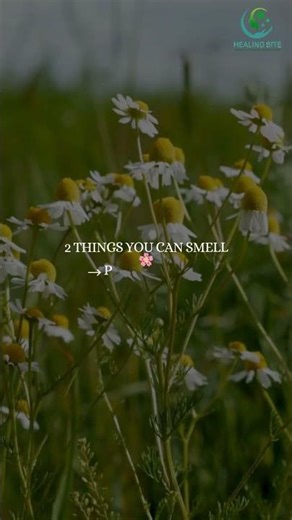 5-4-3-2-1 Grounding Technique | Stop Overthinking & Calm Your Mind Instantly