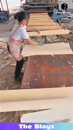 Wood Processing Machine Produces Thin Sheets | Skilled Woman at Work