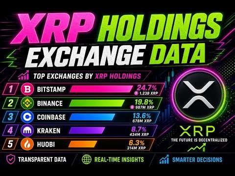 XRP Rich List & Top Exchanges Holding XRP | Day 3 Bitcoin Basics Explained