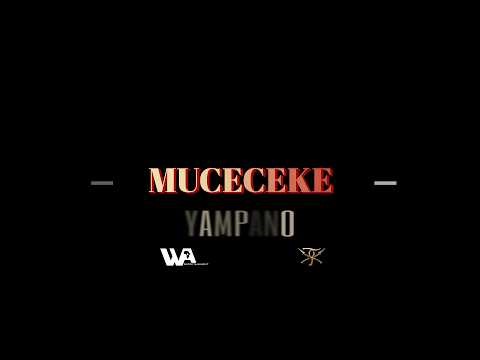 YAMPANO - MUCECEKE Expression visual