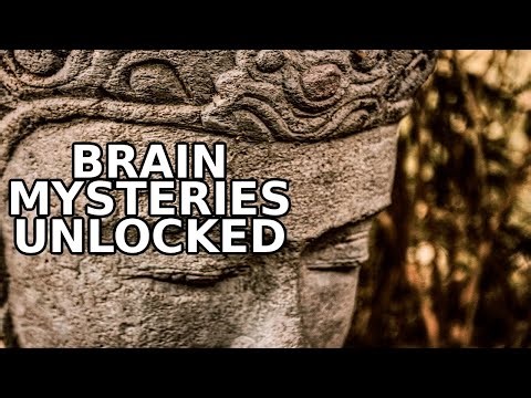 Unraveling the Mind: The Untold Mysteries of the Human Brain