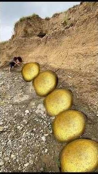 Amazing Discovery of Gold Nuggets, Worth Millions #findgold #golddiscovery #goldstone