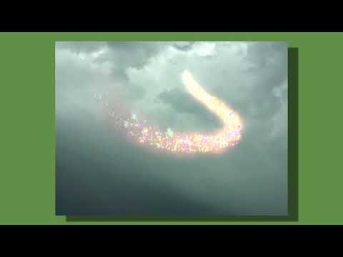 Tiny Tortoise.... EXPLODING! (REUPLOAD)