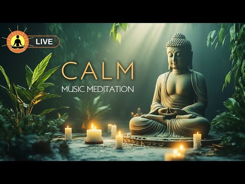 🔴 Relaxing Music 24/7 🌿3338, Stress Relief Music, Sleep Music, Meditation Music, Study, Calm Music