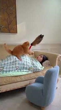 😂 This Cat’s Fart Attack Broke the Internet 🐱💨 #funnycats #viralshorts #catprank #funnyvideo