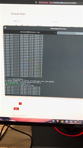 Ping Test on Ubuntu Server