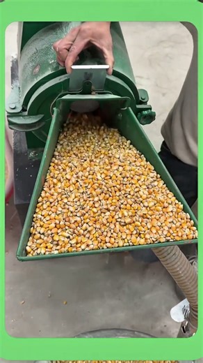 Efficient Corn Grinding Machine for Fast and Consistent Feed Processing