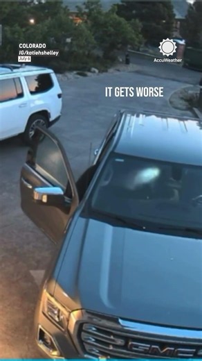 Bear Breaks Into Unlocked Car In Colorado
