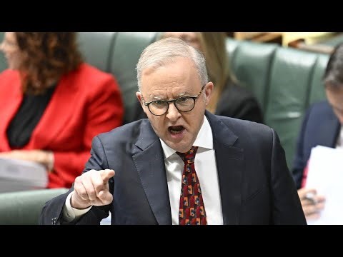 ‘Drivel’: Albanese continues ‘blaming’ Middle East for failing economy