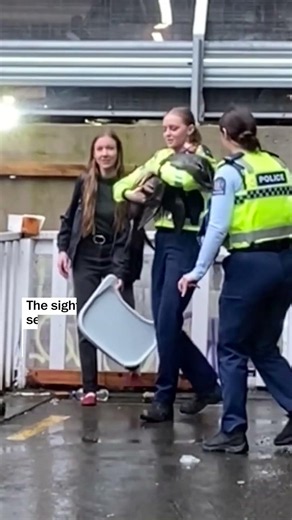 Police rescue baby seal found waddling the streets