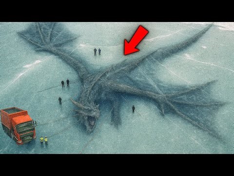 Scientists Found a 76-Million-Year-Old Frozen Dragon in the Antarctic Ice Sheet