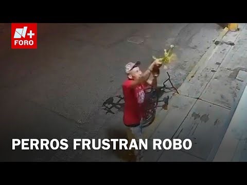 Ladridos de Perros Ayudan a Frustrar Robo en Puebla - A Las Tres