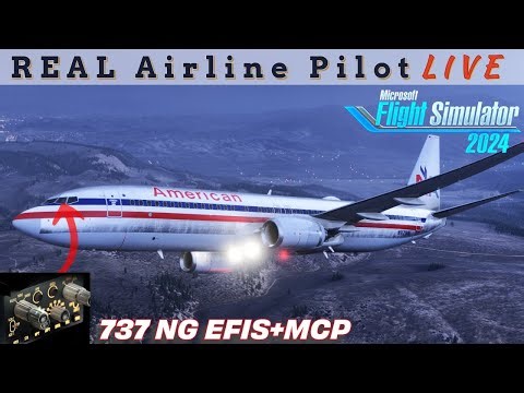 Systems Review | PMDG 737 | Real world Procedures | Prepping for my Checkride #msfs2024 #boeing #737