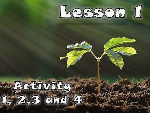 G6 T2 Concept 4.2 lesson 1 - H.W.