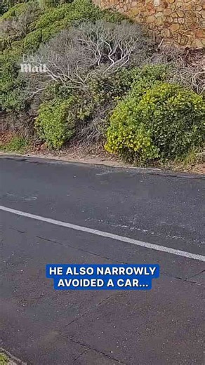 Driver walks away after vehicle plunges off cliff