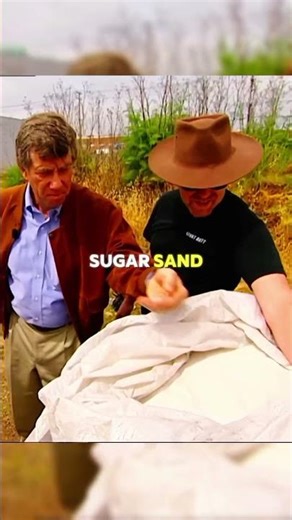 Can Quicksand Actually Kill You? | MythBusters Tested the Truth #shorts