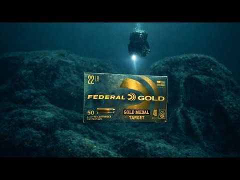 Shooting the Federal Gold. 22lr 40gr rimfire ammo. 