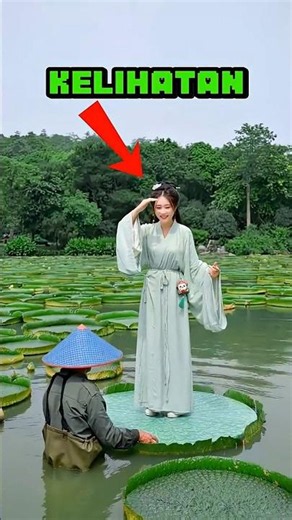 The Secret Behind the Giant Lotus That Can Support a Person! (It’s Not Magic) 😳🍃