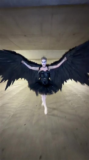 Black Swan Costume Ideas: Best Black Swan Halloween Look